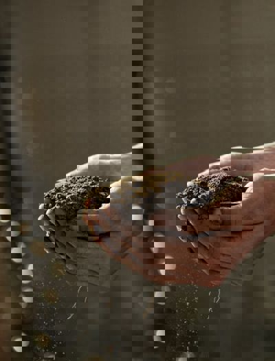 Pic2