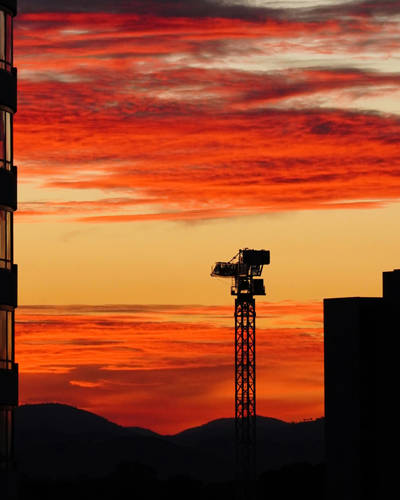 SQ Green Liu Mkmg1hdosr4 Unsplash